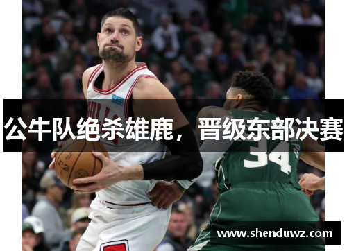 公牛队绝杀雄鹿，晋级东部决赛